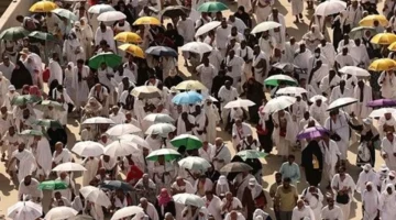 مراجعة صارمة.. البوابة المصرية للحج تعزز الحوكمة الإلكترونية لضمان التزام الشركات السياحية